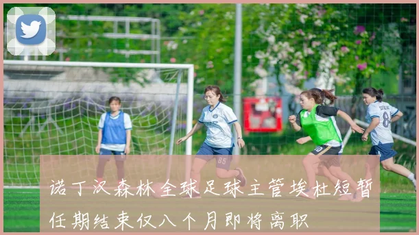 诺丁汉森林全球足球主管埃杜短暂任期结束仅八个月即将离职